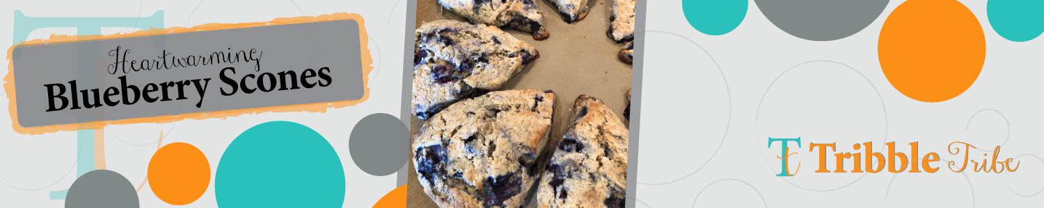 Heartwarming Blueberry Scones